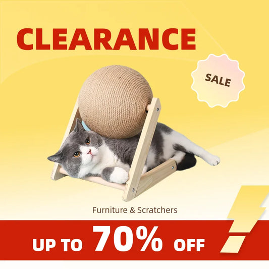 Clearance_Cat Supplies_Continuous updates