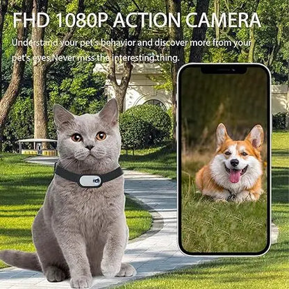 Pet Supplies Cat and Dog Collar Camera Outdoor Sports Camera Video Mini Body Camera