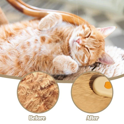 Steam Brush Cat Vaporizer Electric Spray Cat Hair Brush 3 in1 Dog Steamer Brush for Massage Pet Grooming Steam Brush for Cats