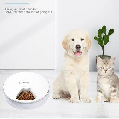 Smart Automatic Pet Feeder With Voice Record Stainless Steel LCD Screen Timer For Dog Food Bowl Cat Food Dispenser Pet Supplies