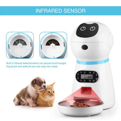 Smart Automatic Pet Feeder With Voice Record Stainless Steel LCD Screen Timer For Dog Food Bowl Cat Food Dispenser Pet Supplies