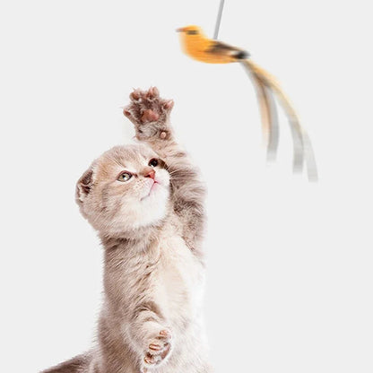 Simulated Bird Cat Toys Upgraded Epoxy Sucker Steel Wire Long Rod Feather Cat Teasing Stick Cat Self Hi No Harmful Ingredients