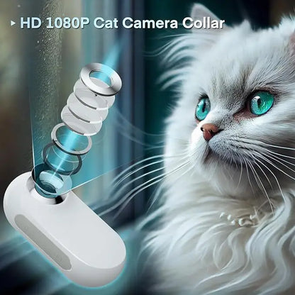 Pet Supplies Cat and Dog Collar Camera Outdoor Sports Camera Video Mini Body Camera